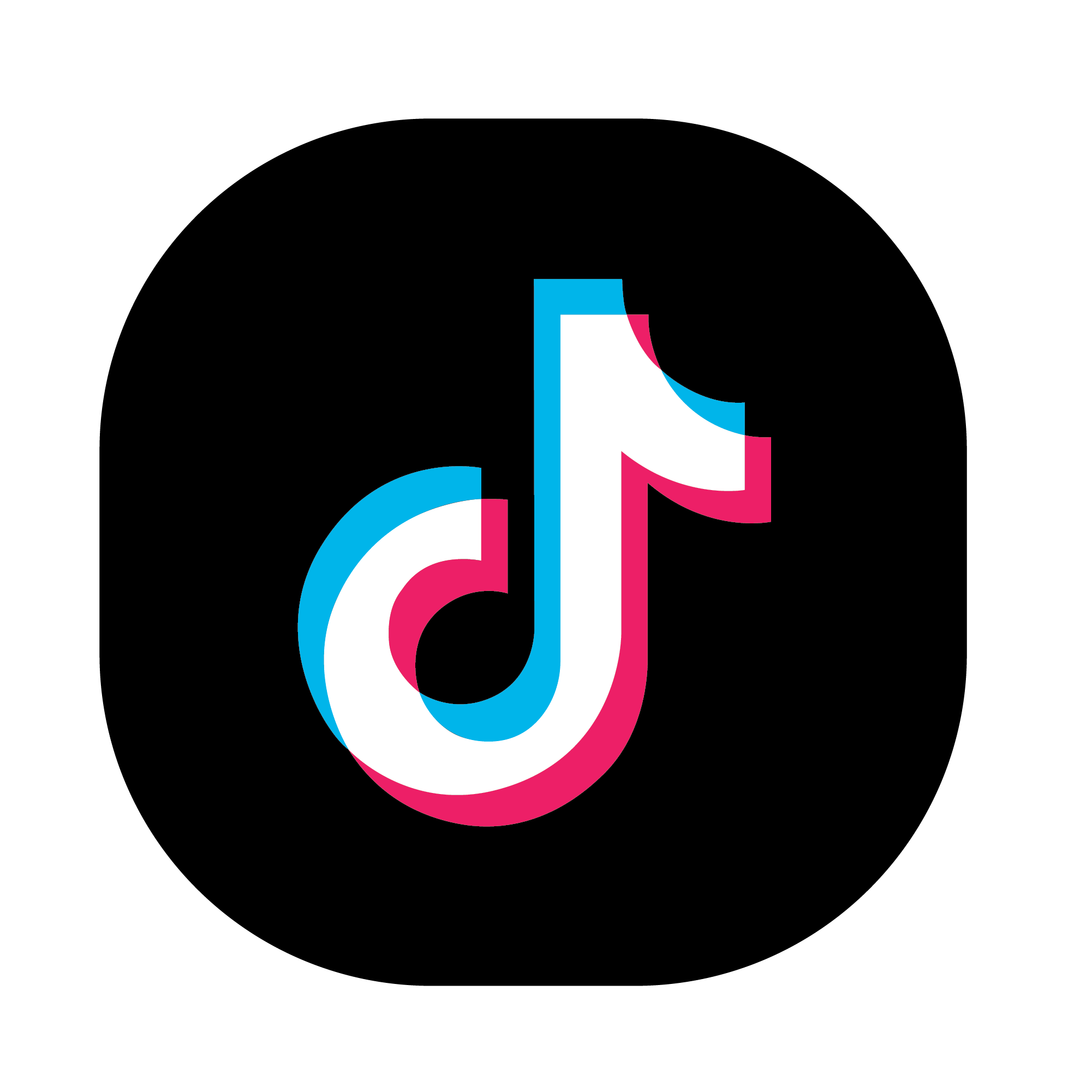 TikTok4x